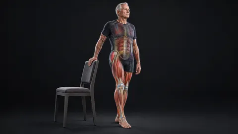 Older man standing heel to toe with one hand on a chair, with the leg and hip muscles that keep him steady shown